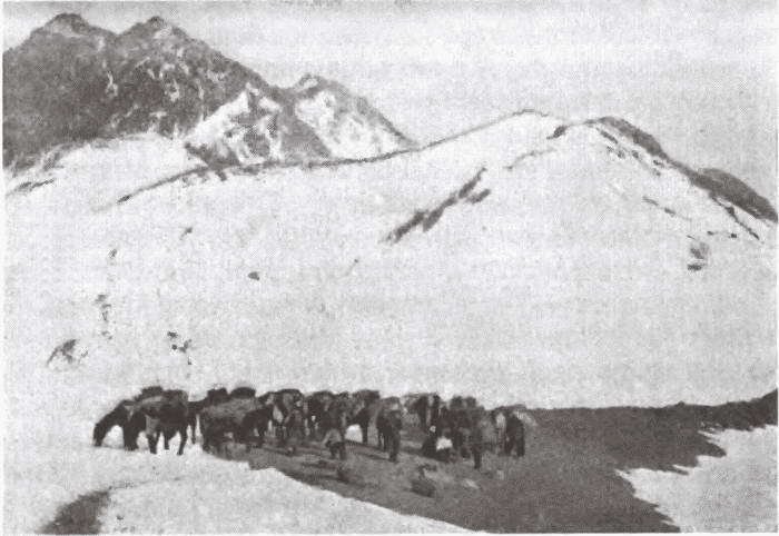 В сердце Азии. Памир — Тибет — Восточный Туркестан. Путешествие в 1893–1897 годах - i_007.jpg