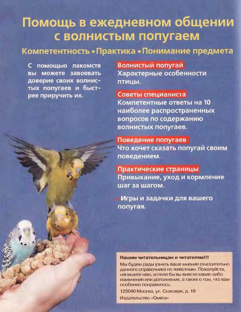 Волнистые попугаи - image57.jpg