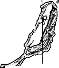 Первое путешествие россиян вокруг света - _28.jpg