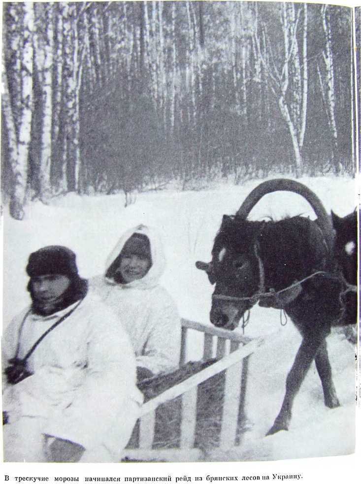 Орлята партизанских лесов - i_005.jpg