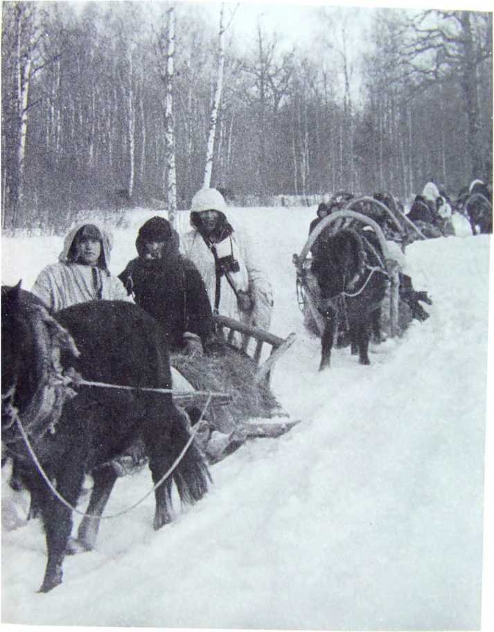 Орлята партизанских лесов - i_006.jpg