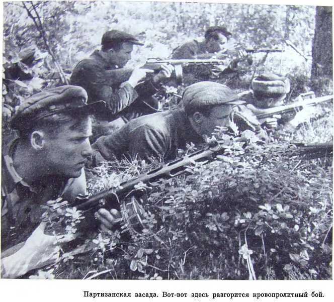 Орлята партизанских лесов - i_042.jpg