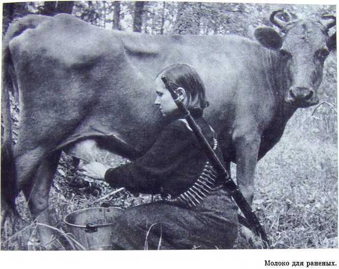 Орлята партизанских лесов - i_052.jpg