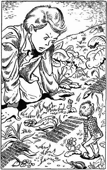 Сказочные повести. Выпуск первый - i_077.png