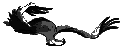Сказки Тихого Дона (с иллюстрациями) - i_005.png