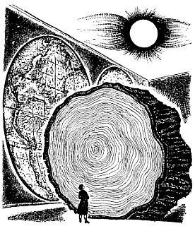 Виновато Солнце - _13.jpg