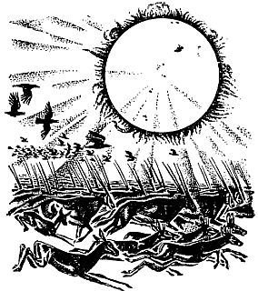 Виновато Солнце - _22.jpg