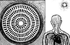 Виновато Солнце - _36.jpg