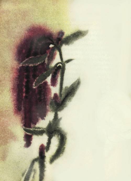 Сказки о цветах - i_013.jpg