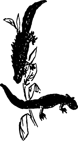 Пруд - i_012.png