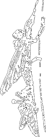 Пруд - i_013.png