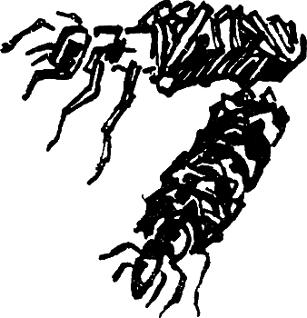 Пруд - i_016.png