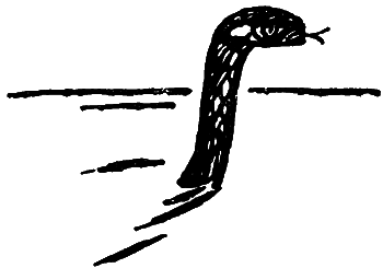 Пруд - i_021.png