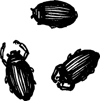 Пруд - i_022.png