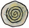 Волшебные сказки Ингушетии - i_077.png