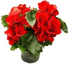 Старушки с зонтиками  - i_048.jpg