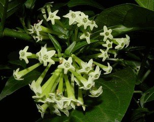 Старушки с зонтиками  - i_049.jpg