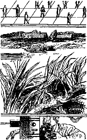 Марсианское путешествие (сборник) - pic_11.png