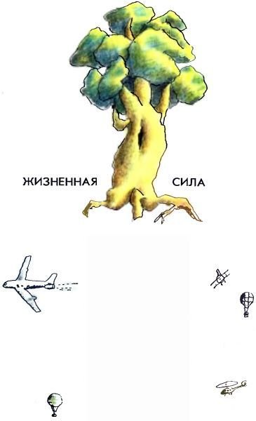 Летний дождик в декабре - i_028.jpg