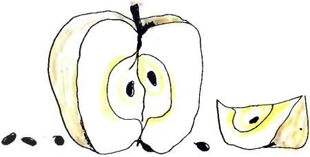 Летний дождик в декабре - i_032.jpg