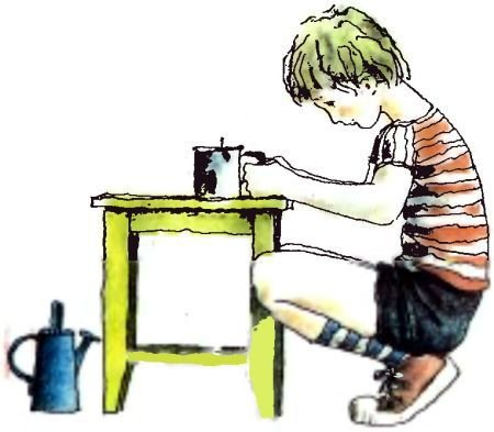 Летний дождик в декабре - i_033.jpg