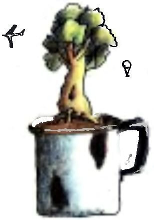 Летний дождик в декабре - i_034.jpg