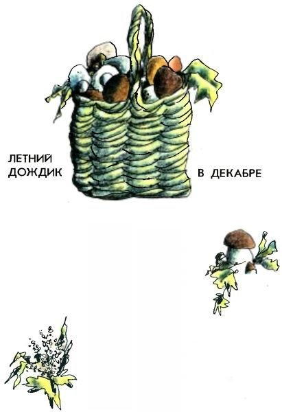 Летний дождик в декабре - i_035.jpg