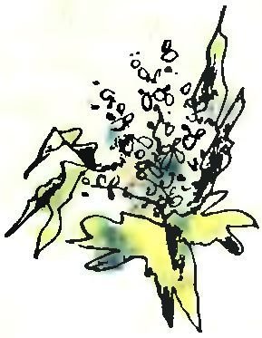 Летний дождик в декабре - i_042.jpg