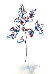 Везучий Борька - i_039.jpg