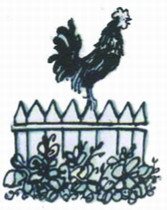 Парусам нужен ветер - i_006.jpg