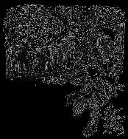 Пригоди Тома Сои?єра - _12.jpg