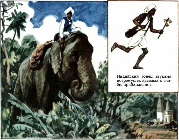 Письмо шло пять тысячелетий - i_012.jpg