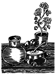 Жизнь «Ивана». Очерки из быта крестьян одной из черноземных губерний - i_016.png