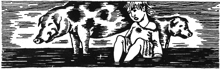 Жизнь «Ивана». Очерки из быта крестьян одной из черноземных губерний - i_017.png