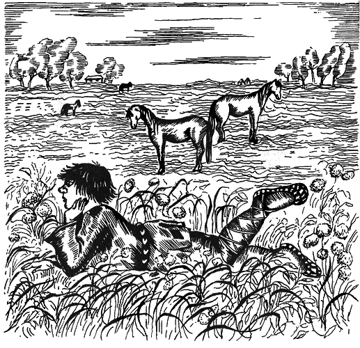 Жизнь «Ивана». Очерки из быта крестьян одной из черноземных губерний - i_027.png
