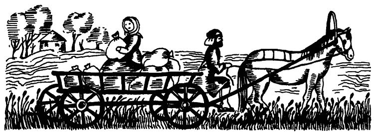 Жизнь «Ивана». Очерки из быта крестьян одной из черноземных губерний - i_041.png