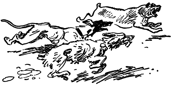 Том 1. Остров Погибших Кораблей - i_036.png