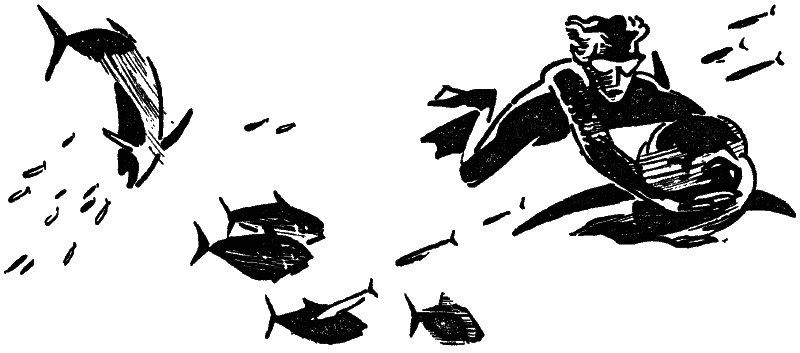 Том 3. Человек-амфибия - i_011.png
