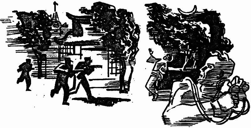 Том 3. Человек-амфибия - i_041.png