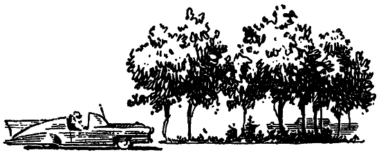 Том 6. Звезда КЭЦ - i_019.png