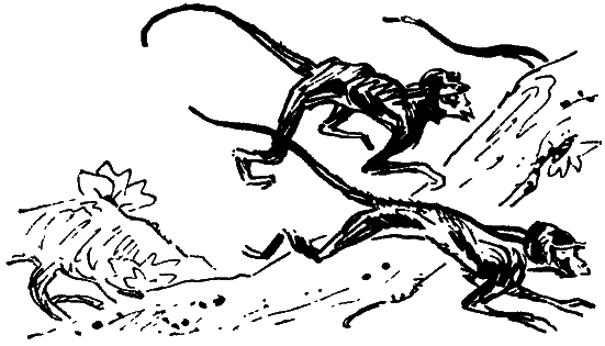 Том 7. Человек, нашедший свое лицо - i_032.png