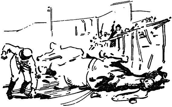 Том 8. Рассказы - i_016.png