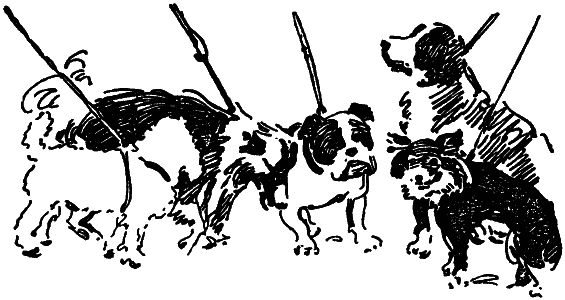 Том 8. Рассказы - i_026.png