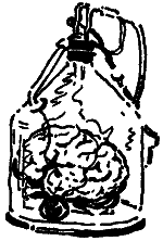 Том 8. Рассказы - i_037.png