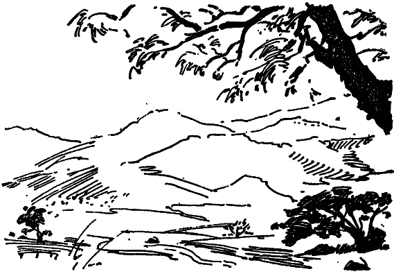 Том 8. Рассказы - i_041.png