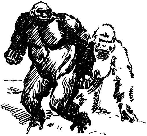 Том 8. Рассказы - i_045.png