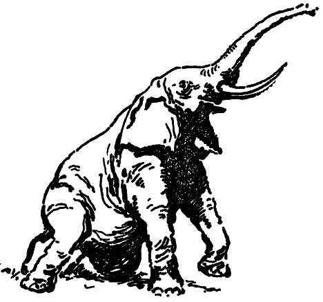 Том 8. Рассказы - i_049.png