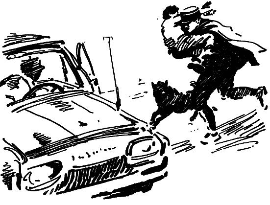 Том 8. Рассказы - i_055.png