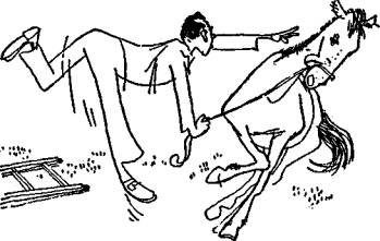 Безвыходных положений не бывает - any2fbimgloader35.jpeg