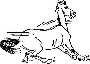 Безвыходных положений не бывает - any2fbimgloader36.jpeg